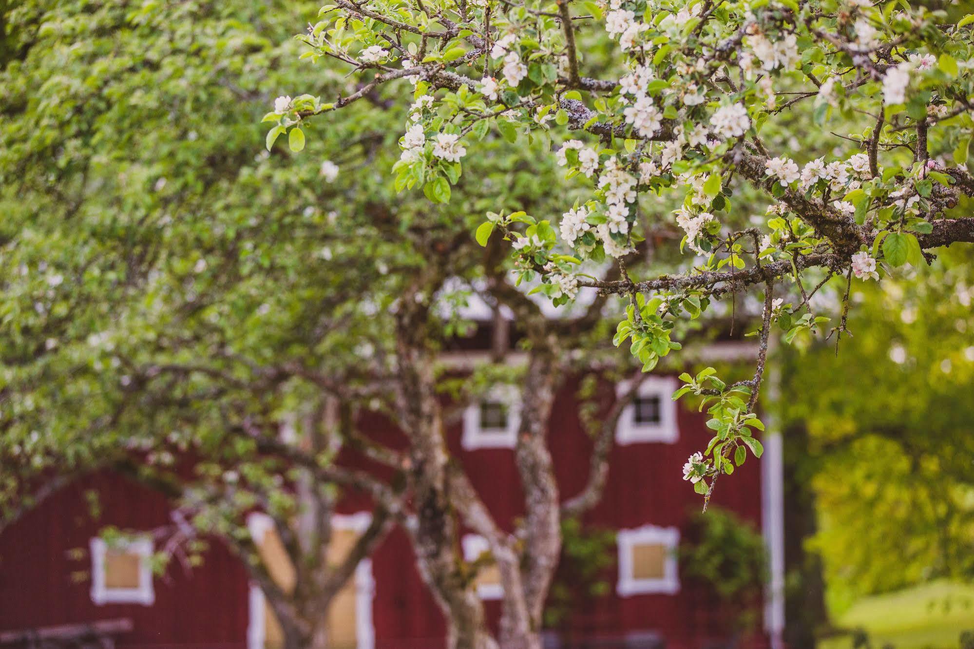 Ruders Egendom Bed & Breakfast Tibro Eksteriør bilde